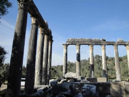 Euromos Roma dönemi Zeus TAPINAGI Milas 